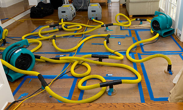 Professional Sewage Cleanup technician working in Avalon, TX